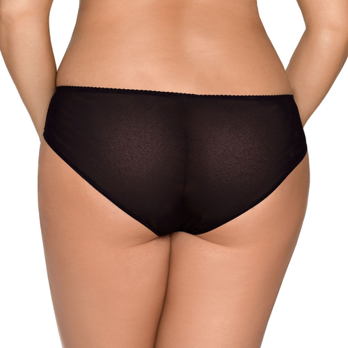 Axami Shimmer Sheer Bikini Panty-1
